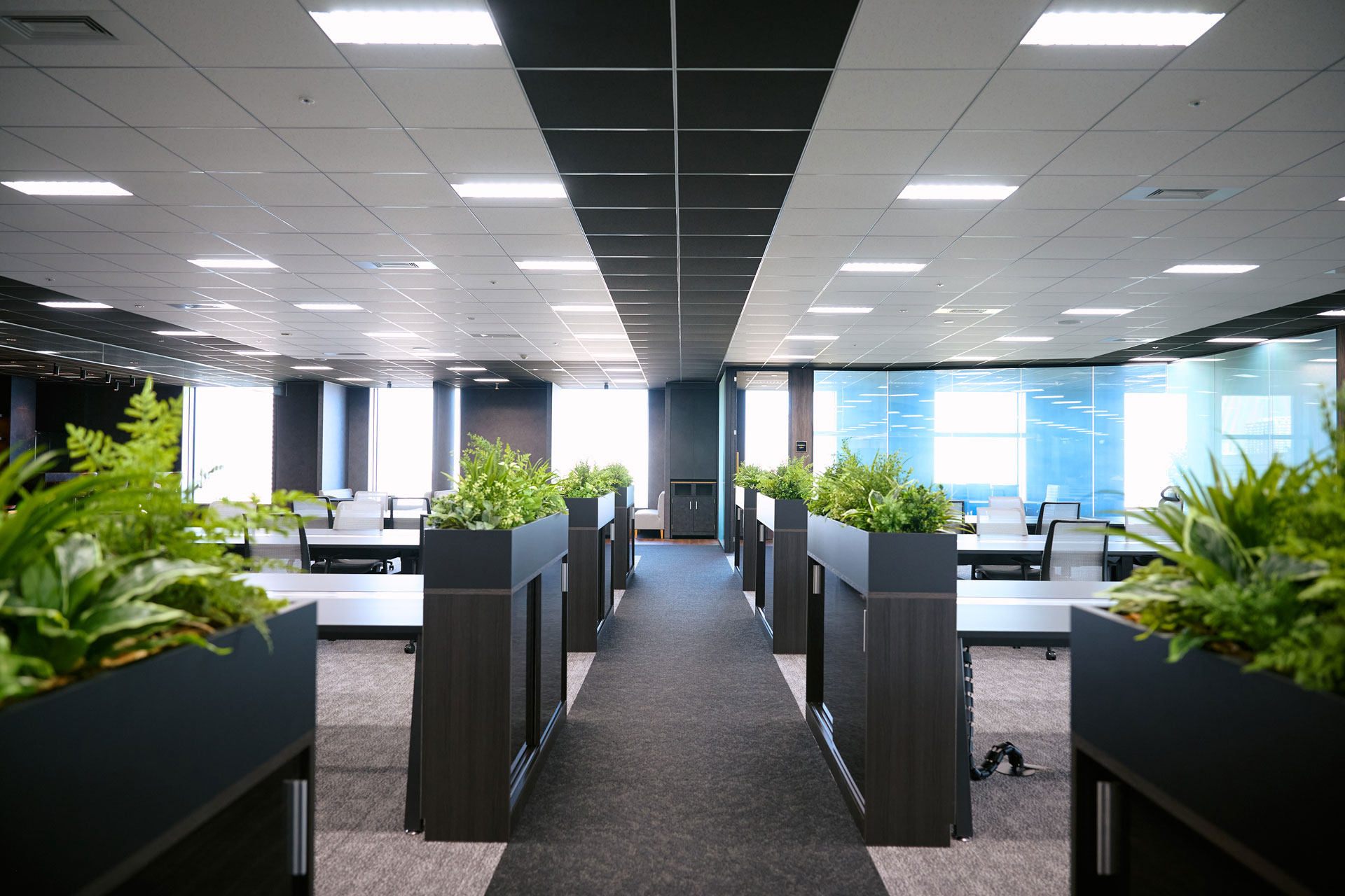 Road Energy（ロードエナジー）東京都江東区青海